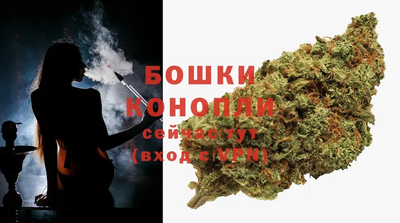 Конопля Ganja  Андреаполь 